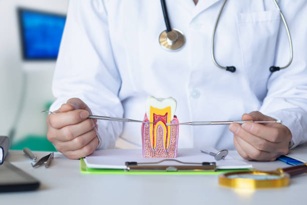 Best Emergency Dental Care for Broken or Chipped Teeth in Lakeside, MT